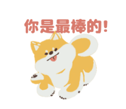 862666647