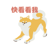 862666649