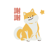 862666651