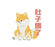 862666655