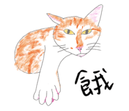 862668979