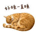 862669361