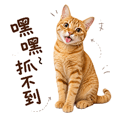 862669367