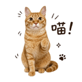 862669368