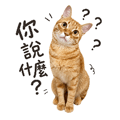 862669369