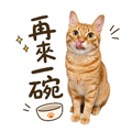 862669372