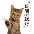 862669382