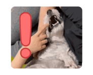 862679449