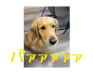 862679789