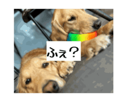 862679796