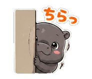 862753904