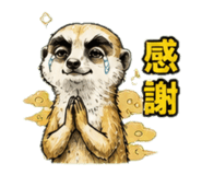 862754416
