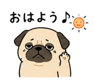 862756305