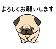 862756308