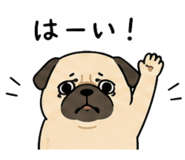862756313