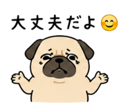 862756316