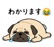 862756319