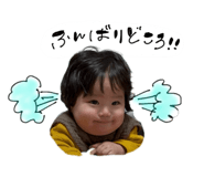 862756468