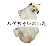 862757305