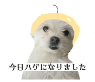 862757306