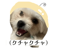 862757307