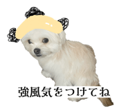 862757308