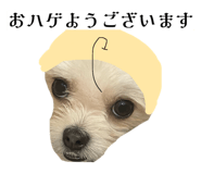 862757309