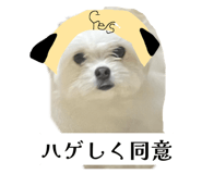 862757310