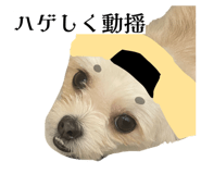 862757311