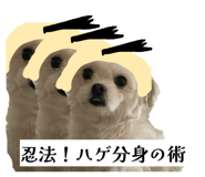 862757312