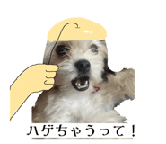 862757313