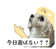 862757314