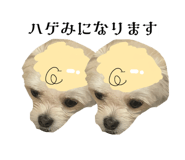 862757315