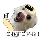 862757316