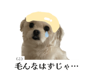 862757317