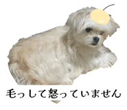 862757318