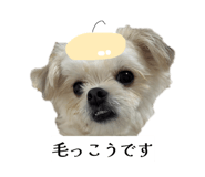 862757321
