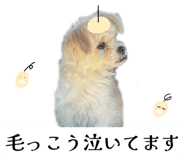 862757322