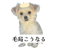 862757324
