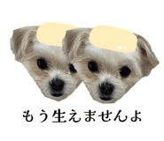 862757325