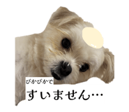 862757326