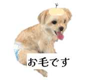 862757327