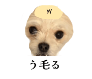 862757328