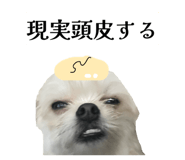 862757330