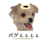 862757331