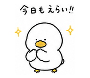 862763997