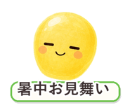 862764372