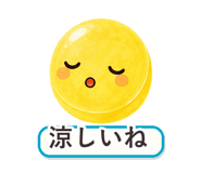 862764618