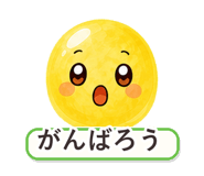 862764628