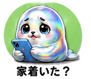 862770538
